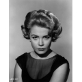 Sandra Dee Photo